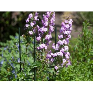 Vir&aacute;gt&aacute;masz műanyag  60cm/8mm  211778