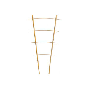 Bambusz vir&aacute;gl&eacute;tra 43cm &iacute;velt CH