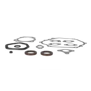 Tömítés készlet Briggs 25T232