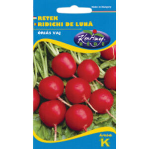 Óriás vaj (Riesenbutter) retek vetőmag, 3 g